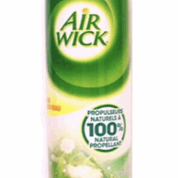 Airwick Stasher Can (Rain Garden Scent)